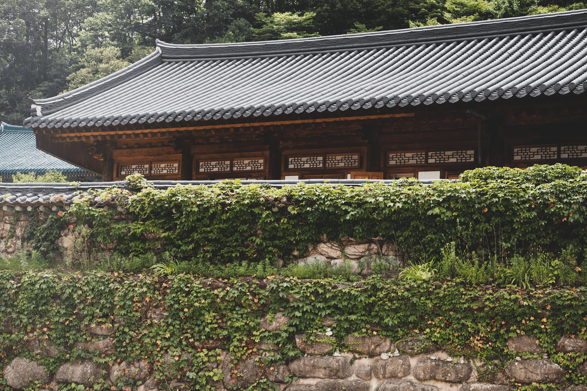 Korea Temple Stay Guide 2026: What Actually Happens