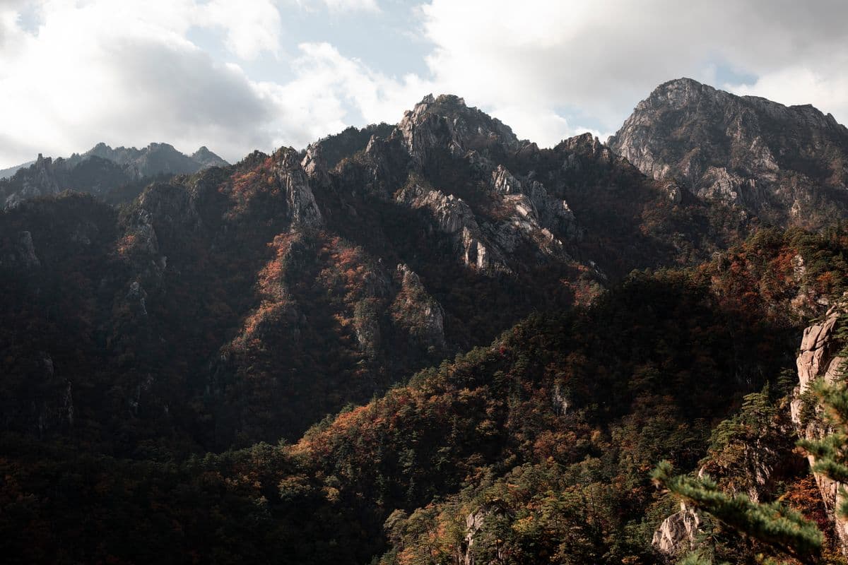 Korea Autumn Foliage Trip 2026: Seoul, Seoraksan, Nami, and Naejangsan