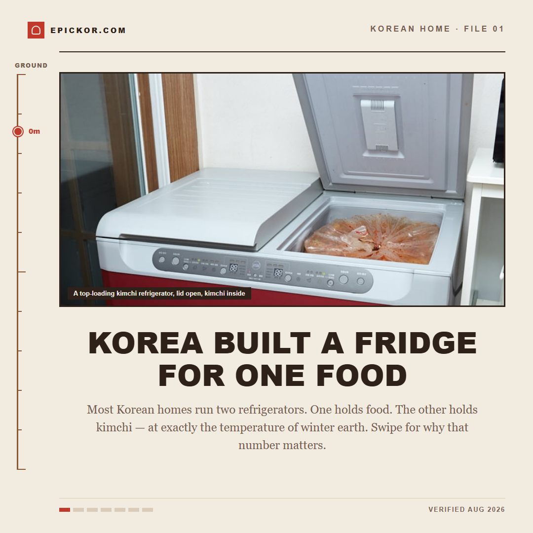 Kimchi Refrigerators: Korea Built a Fridge for One Food card-news cover