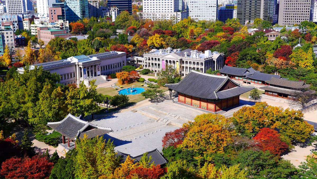 Korea in November 2026: Weather, First Snow, Suneung Day and What's On — Week by Week
